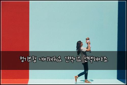 정기보험 대비해둬요  견적이요 선택해야죠