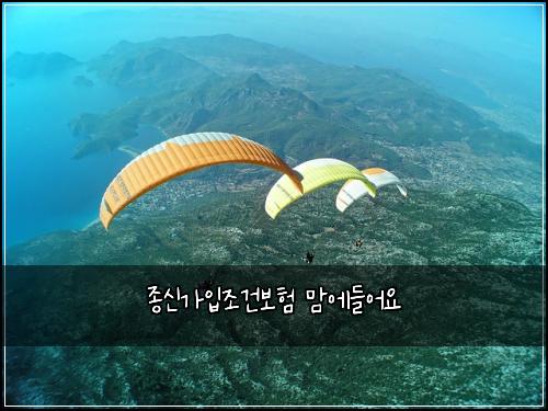 종신가입조건보험 맘에들어요 