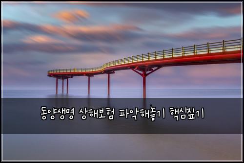 동양생명 상해보험 파악해놓기  핵심짚기