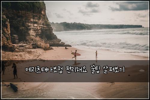메리츠태아보험 편리해요  꿀팁 살펴보기