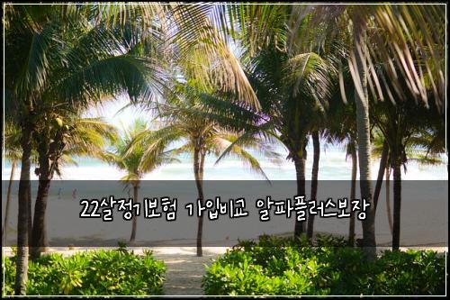 22์ด์ ๊ธฐ๋ณดํ ๊ฐ์
๋น๊ต ์ํํ๋ฌ์ค๋ณด์ฅ