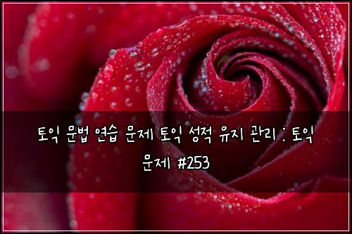 토익 문법 연습 문제 토익 성적 유지 관리 : 토익 문제 #253