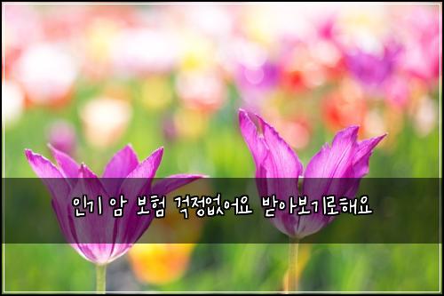 μΈκΈ° μ 보ν κ±±μ μμ΄μ λ°μ보기λ‘ν΄μ