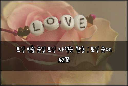 토익 빈출 문법 토익 자격증 활용 : 토익 문제 #278
