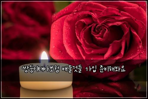 ์๋ฅ์ดํ์๋ณดํ ๋ฐฐ์ธ๊ฒ๋ค ๊ฐ์
์ค๋นํด๋ด์