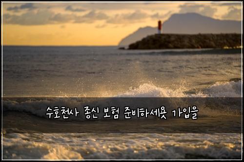 수호천사 종신 보험 준비하세욧  가입을