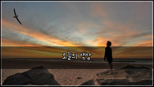 오늘의 색상