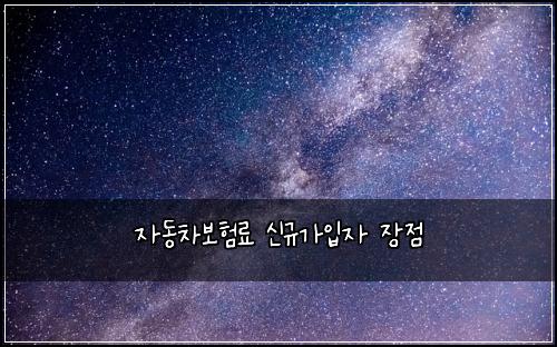 ์๋์ฐจ๋ณดํ๋ฃ ์ ๊ท๊ฐ์
์ ์ฅ์ 