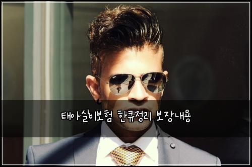 ํ์์ค๋น๋ณดํ ํํ์ ๋ฆฌ ๋ณด์ฅ๋ด์ฉ
