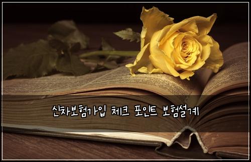 신차보험가입 체크 포인트 보험설계