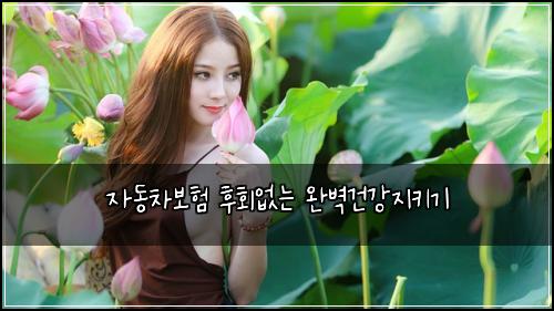 μλ차보ν ννμλ μ벽건κ°μ§ν€κΈ°