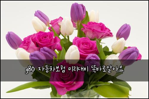 g80 ์๋์ฐจ๋ณดํ ๋ฏธ๋ฆฌ๋๋น ๋๋ฐ๋ก์์์