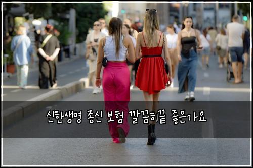 신한생명 종신 보험 깔꼼히끝  좋은가요