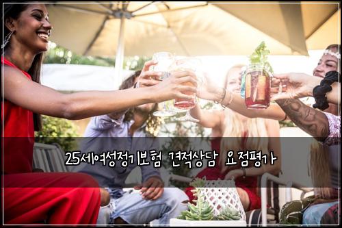 25세여성정기보험 견적상담  요점평가
