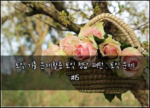 ํ ์ต ๊ธฐ์ถ ๋ฌธ์ ํ์ฉ ํ ์ต ์ ๋ต ํจํด : ํ ์ต ๋ฌธ์ #15