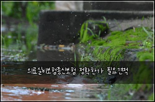 의료실비보험종신보험 정확한가 필요견적