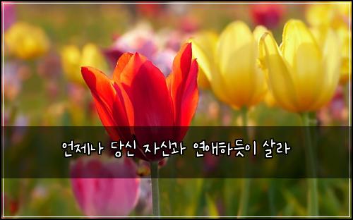 언제나 당신 자신과 연애하듯이 살라