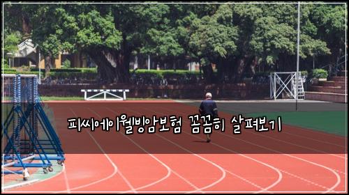 피씨에이웰빙암보험 꼼꼼히 살펴보기