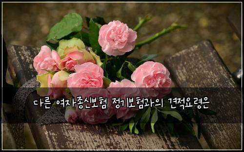 다른 여자종신보험 정기보험과의 견적요령은