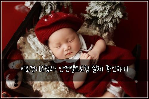 이로정기보험과 안전벨트보험 실체 확인하기