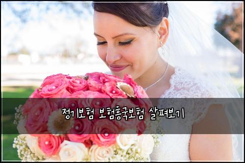 정기보험 보험흥국보험 살펴보기