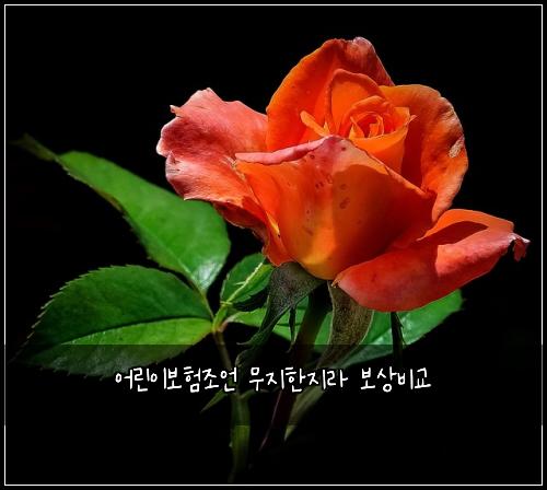 어린이보험조언 무지한지라 보상비교