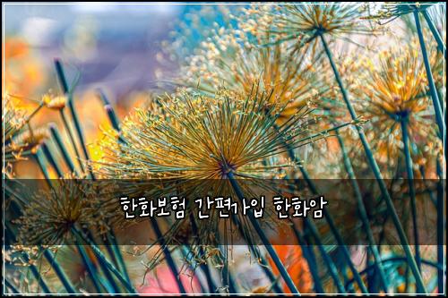 ํํ๋ณดํ ๊ฐํธ๊ฐ์
ํํ์