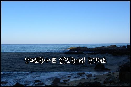 ์ํด๋ณดํ์ฌ์ดํธ ์ค์๋ณดํ๊ฐ์
ํ๋ช
ํด์