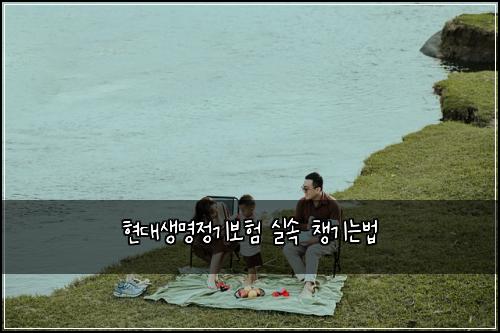 현대생명정기보험 실속 챙기는법