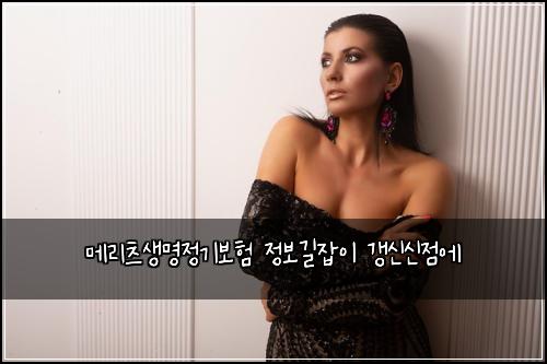 메리츠생명정기보험 정보길잡이  갱신신점에
