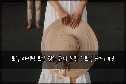 토익 라이팅 토익 점수 유지 전략 : 토익 문제 #18