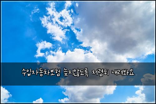 수입자동차보험 늦지않도록  저렴히 내려봐요