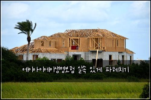 에이아이에이생명보험 실속 있게 파헤치기