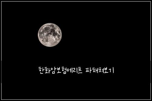 ํํ์๋ณดํ๋ฉ๋ฆฌ์ธ ํํด์ณ๋ณด๊ธฐ