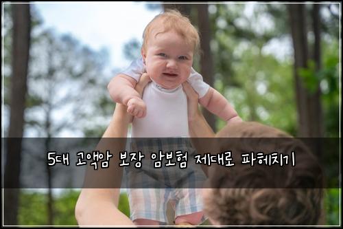 5대 고액암 보장 암보험 제대로 파헤치기