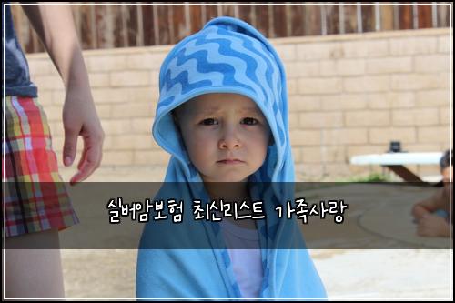 실버암보험 최신리스트  가족사랑