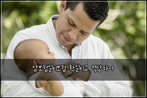 ์๋ณดํ์ค๋น๋ณดํ ํ์ค๋น๊ต ์ ๋นํ๋