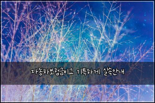 ์๋์ฐจ๋ณดํ๊ธ๋น๊ต ๊ธฐํนํ๊ฒ ์ค์์๋ด
