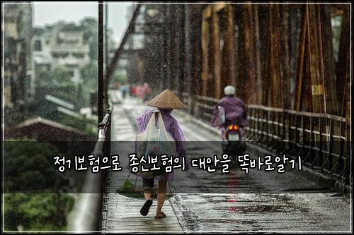 정기보험으로 종신보험의 대안을 똑바로알기