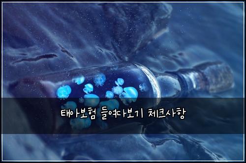 태아보험 들여다보기  체크사항