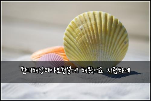 현대해상태아보험설계 해봤어요 저렴하네