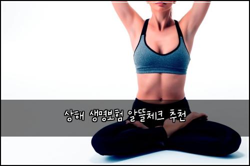 상해 생명보험 알뜰체크  추천
