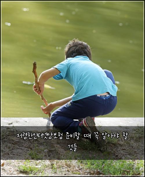 저렴한인터넷암보험 준비할 때 꼭 알아야 할 것들