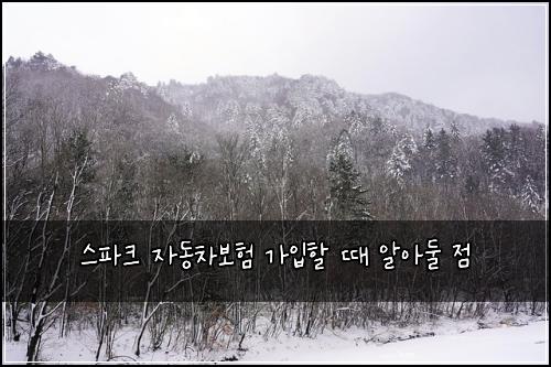 스파크 자동차보험 가입할 때 알아둘 점