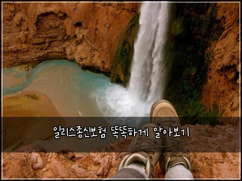 일리스종신보험 똑똑하게 알아보기