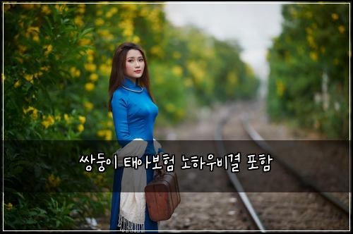 ์๋ฅ์ด ํ์๋ณดํ ๋
ธํ์ฐ๋น๊ฒฐ ํฌํจ