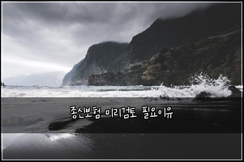 종신보험 미리검토  필요이유