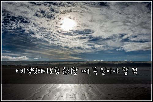 비바생명태아보험 준비할 때 꼭 알아야 할 점