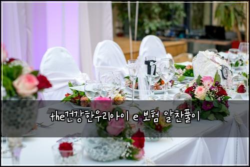 the건강한우리아이 e 보험 알찬풀이 