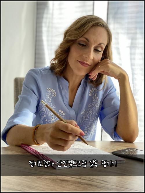정기보험과 안전벨트보험 실속 챙기기